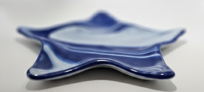 Midnight Tide Starfish Dish